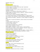 CUAL ES LA EXPRESIÓN PLÁSTICA PRIMARIA