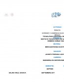 INTERNET Y COMERCIO ELECTRÓNICO EN MÉXICO