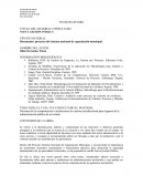 Documento: proyecto del sistema nacional de capacitación municipal