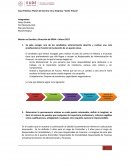 Ensayo Planes de Carrera