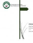 POR QUÉ ELEGÍ LA CARRERA DE MECATRÓNICA, ESPECIALMENTE EN EL ÁREA DE AUTOMATIZACIÓN: