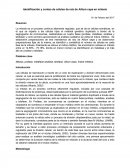 Identificación y conteo de células de raíz de Allium cepa en mitosis