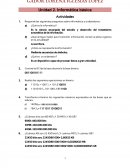 INFORMATICA BASICA ACTIVIDAD