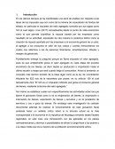 Gravemen fiscal ley 822 IVA