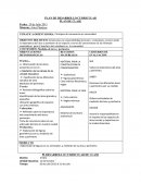 PLAN DE DESARROLLO CURRICULAR - PLAN DE CLASE