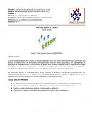 Ejemplo de un gran Análisis y diseño de puestos