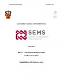 ENSAYO SOBRE EL BACHILLERATO GENERAL POR COMPETENCIAS