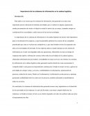 Importancia de los sistemas de información en la cadena logística.