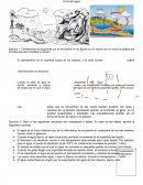 Ciclo del agua - Ejercicios