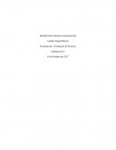 Formulacion y evaluacion de proyectos