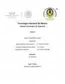 Ensayo practico de Etica