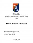 Ciencias Naturales Tema: Ecosistema y cadena alimenticia