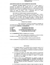 JUICIO: SUMARIO DE USUCAPIÓN. Página 1