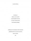 Administracion en salud ocupacional. Taller costos