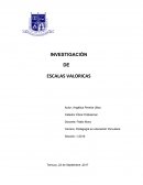 INVESTIGACIÓN DE ESCALAS VALORICAS