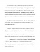 Ensayo sobre el Caso mini pappa