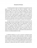 Analisis para la Descripción del Producto