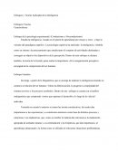Enfoque y Teorías aplicadas a la Inteligencia