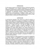 En este ensayo se exponen los implementos técnicos