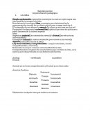 Segundo parcial Argumentación pedagógica