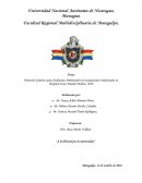 Protocolo Genérico para Auditorías Ambientales en instalaciones Industriales en Hospital Cesar Amador Molina, 2016