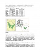 Polinizacion chingaza informes
