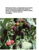UN NUEVO PROYECTO PARA LA CREACION DE UN CANAL DE DISTRIBUCION DE MERCADO DIRECTO PARA LAS ASOCIACIONES DE PRODUCTORES DE FRUTA Y HORTALIZAS DE COLOMBIA