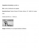 El nuevo Catalogo de cuentas de una empresa de zapatos