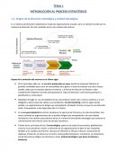 INTRODUCCIÓN AL PROCESO ESTRATÉGICO