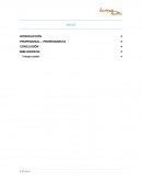 PROFESIONAL – PROFESIONISTA