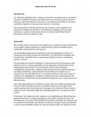 Ensayo Cadena de valor de Porter Introducción