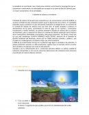 El dióxido de carbono y el ambiente