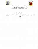 MÉXICO, EL ERROR. LA DEVALUACIÓN Y LA DEVACLE ECONOMICA: 1994