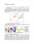 Cuestionario previo acústica