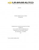 LA AUDITORIA Y SU INCURSION VERTIGINISA EN LA PROFESION CONTABLE