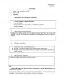 Voluntariado actividad