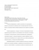 Teoría y comportamiento organizacional: Motivación, toma de decisiones, trabajo en equipo y comunicación
