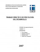 TRABAJO PRÁCTICO DE PSICOLOGÍA DEL DESARROLLO