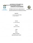 INFORME DE PRÁCTICA DE LABORATORIO No 6 Caracteres Esenciales de los Compuestos del Carbono