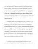 Evidencia 6. Mi habitación es un cuarto pequeño