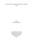 Tema de La esencia del recurso humano en la productividad de una organización
