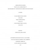 PRACTICA DE LABORATORIO Nº5 RECONOCIMIENTO Y OBTENCION DE COMPUESTOS INSATURADOS