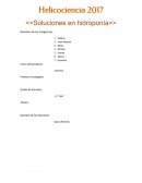 ¿Qué contienen las soluciones de los cultivos hidropónicos que hacen que los vegetales crezcan?