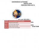 Biologia etapa 2 las partículas contaminantes