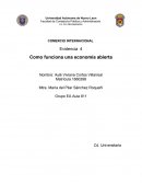 COMERCIO INTERNACIONAL Evidencia 4