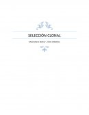 Seleccion clonal