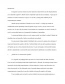 Vigotski - Zona de Desarrollo Próximo