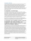 Humedales: definición