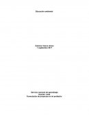 Formulación de proyectos en mi profesión