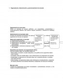 Segmentación, determinación y Posicionamiento de Mercado